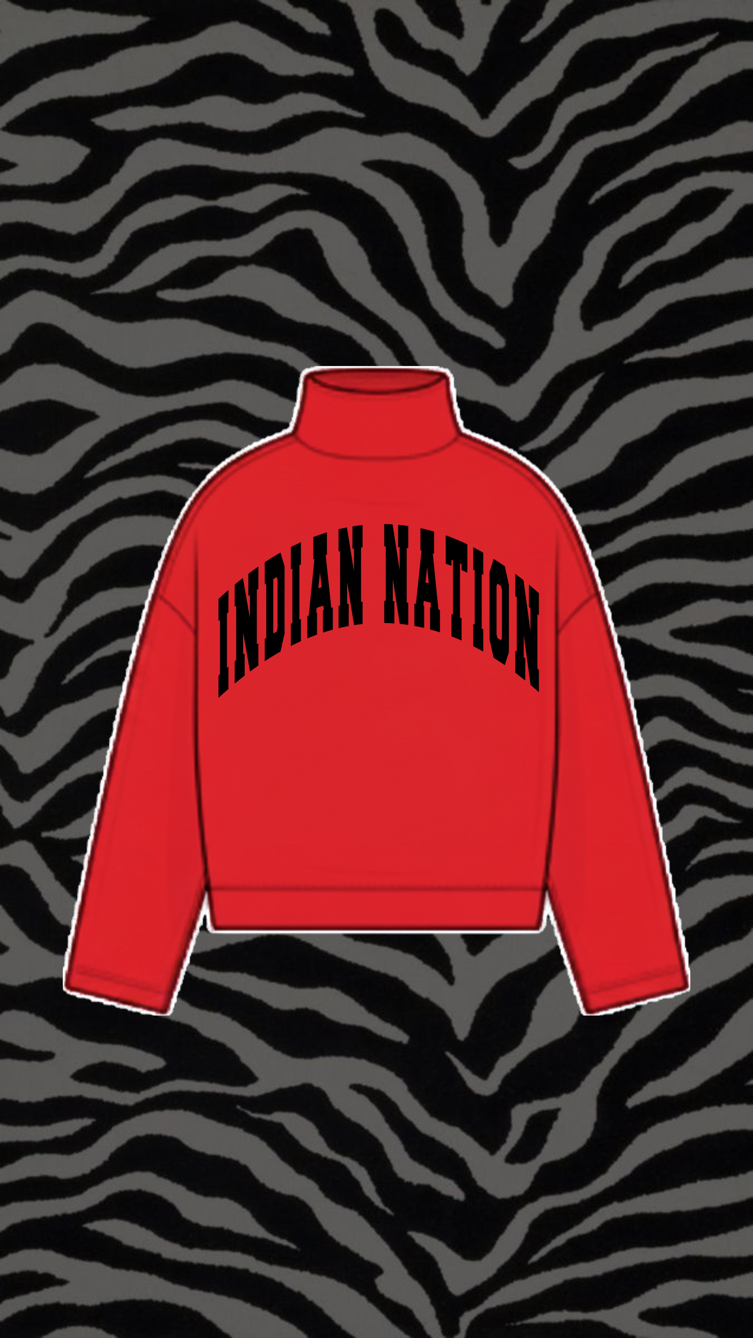 CHARLTON COUNTY MOCK NECK SWEATSHIRT