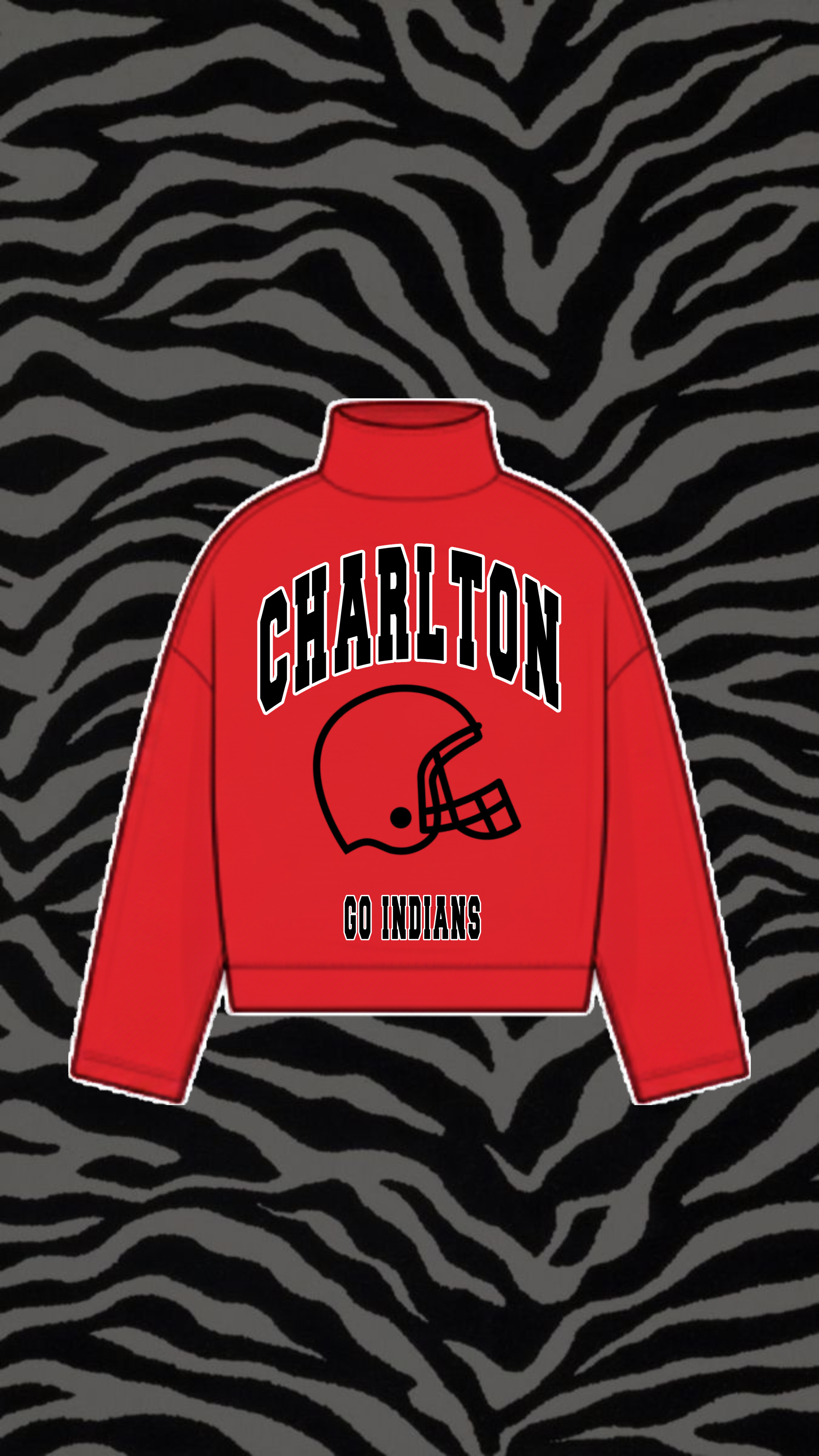 CHARLTON COUNTY MOCK NECK SWEATSHIRT