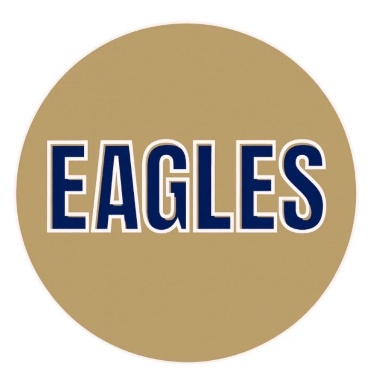 Georgia Southern Eagles Game Day Button – Football Spirit Pin Accessory