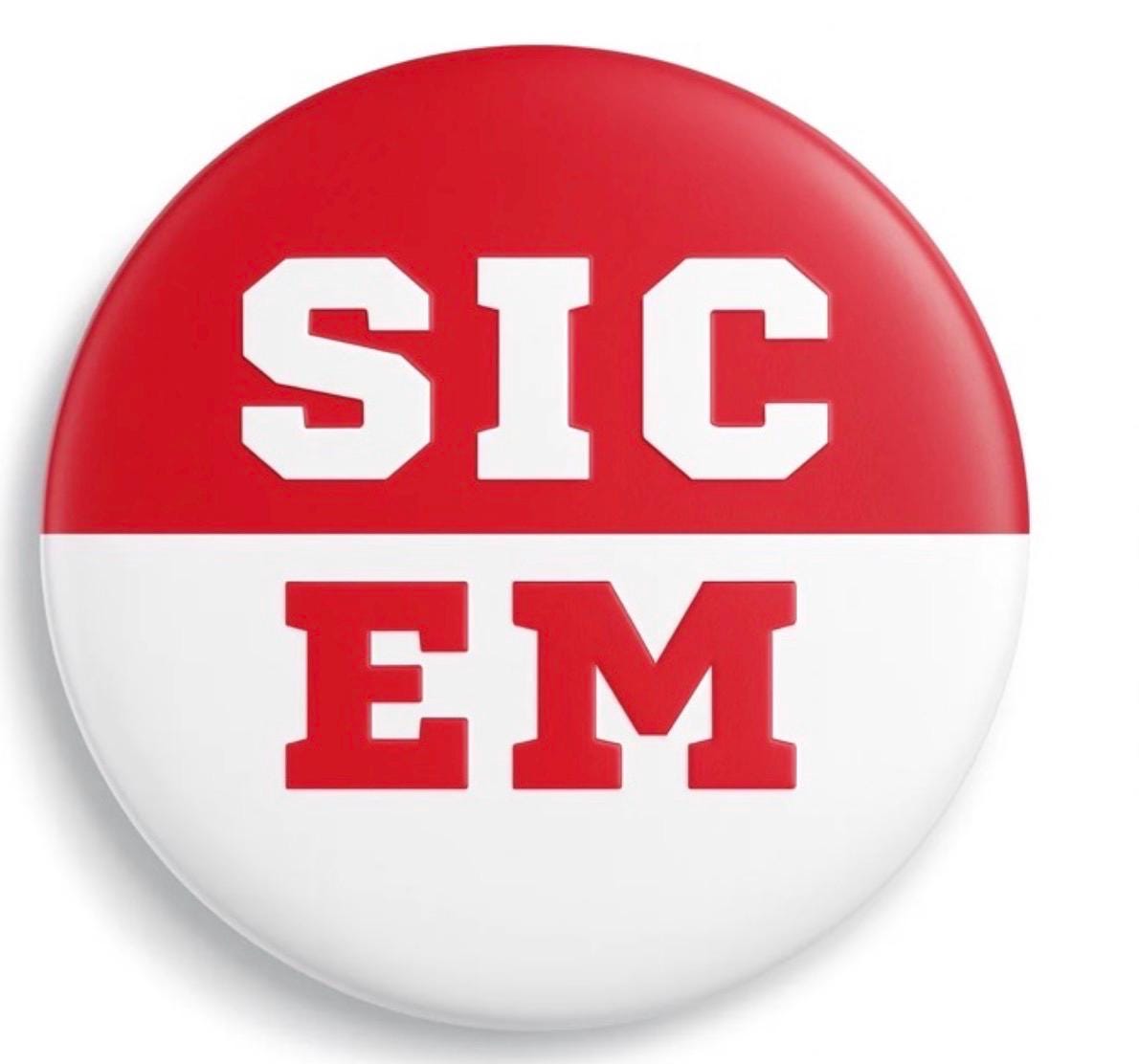 UGA Game Day Button – Georgia Bulldogs Spirit Pin – Tailgate Accessory