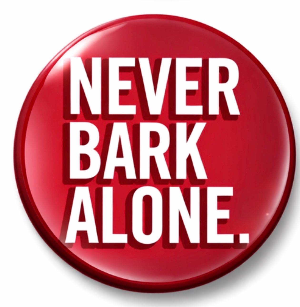 UGA Game Day Button – Georgia Bulldogs Spirit Pin – Tailgate Accessory (3" Round)