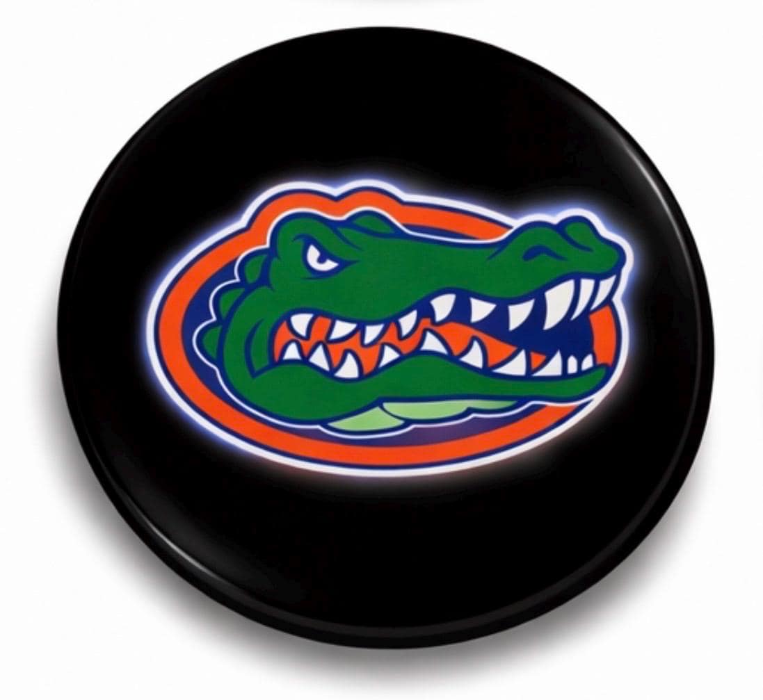University of Florida Gameday Button | Gators Football Fan Pin | SEC Tailgate Accessory